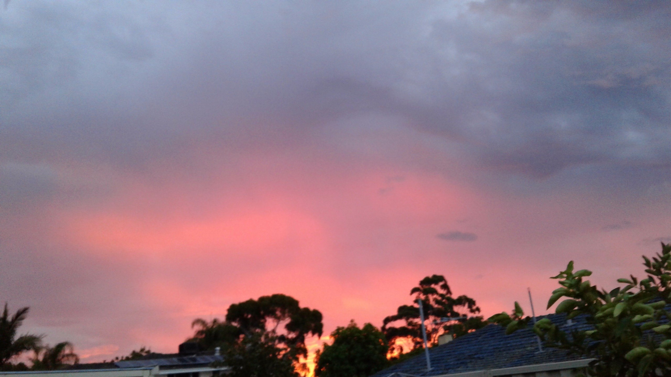 💧🎀 Manjit Kaur