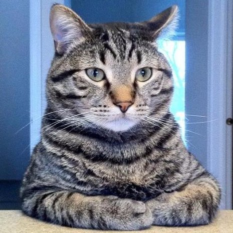 MAkif 📚🤓🖥️👨‍💻☮️ 🇪🇺🇹🇷🌍