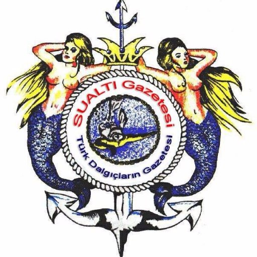 SUALTI Gazetesi