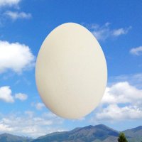 走ざ（案山子のしもべ）