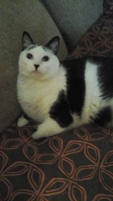 Cathie Bargenda 🇨🇦