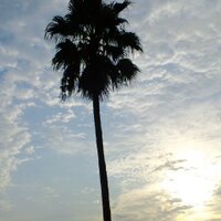 あるがままのミック ⚠️🚫NO DM⚠️