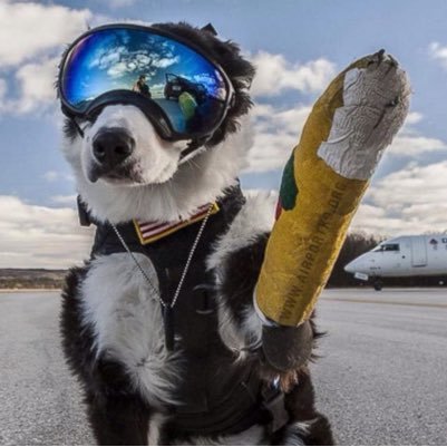 skypup 🟧🇺🇸🇺🇦