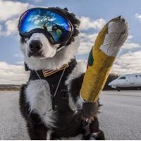 skypup 🟧🇺🇸🇺🇦