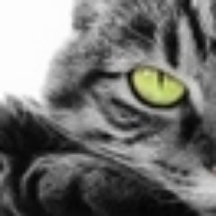 Jane-O. φ agent classe 3 🍒🌿🐝🔻🐢 #Nupes