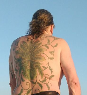 Stuart Neal #RejoinEU #FBNHS #FBPE #FBPA π³οΈβπ