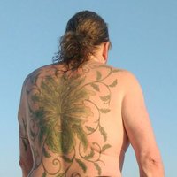 Stuart Neal #RejoinEU #FBNHS #FBPE #FBPA 🏳️‍🌈