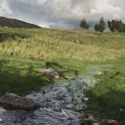 مبارك العاطفي