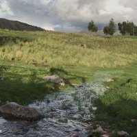 مبارك العاطفي