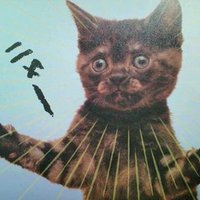 はぁどっこい@6歳と0歳(8m)姉妹🐰🐰