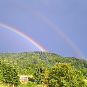 TH€*CHO§€N*ON€