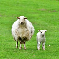 中野耕志 / Koji NAKANO