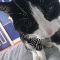 💯 purrcent pure love (less anxious now)