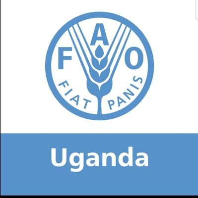 FAO in Uganda