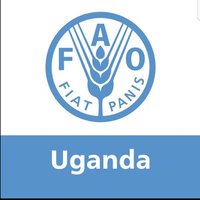 FAO in Uganda