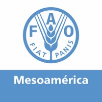FAO Mesoamérica