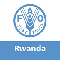 FAO in Rwanda