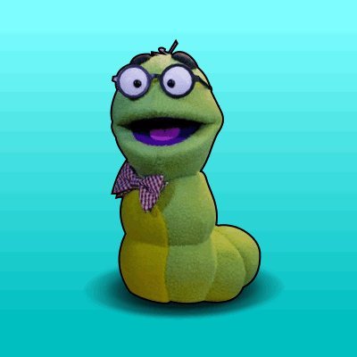 Avi Woolf, Wilderness Conservative🐺