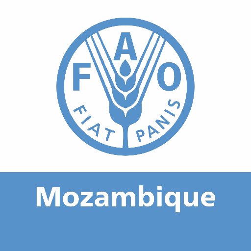 FAO Mozambique