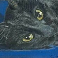 Evelyn_Einfach 🇩🇪 🚥🚜🚜🚜