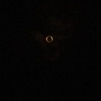 そこらへんの人間