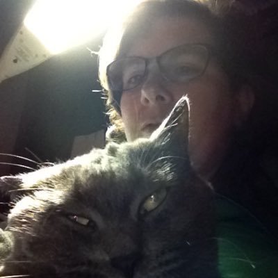 DrStip Tourcats got @drstip out of jail