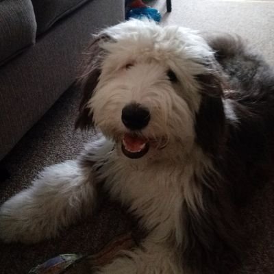 ReadtoRelax.com 📖