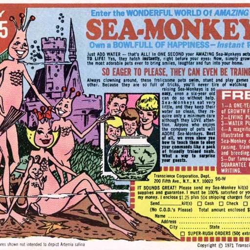 Sea Monkey