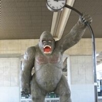 トーシー自公政権では　日本が滅びます