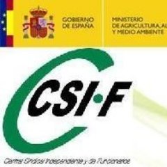 CSIF AEMET