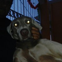 Jay Jay Garduza®