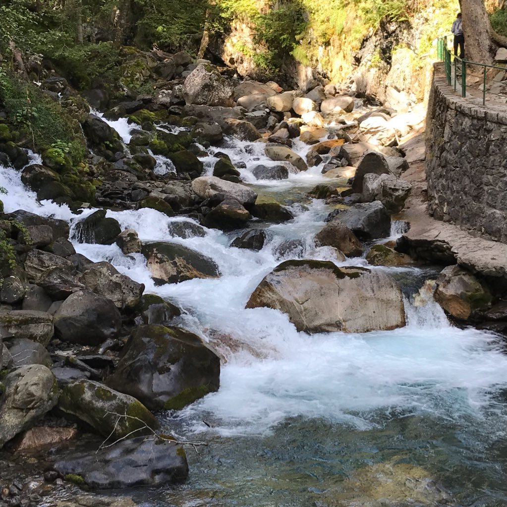 Fernando de la Chica