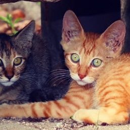 wiz.U@ナミビア〜ド・トバゴ