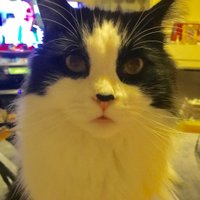 elldina2🍃💚🍃