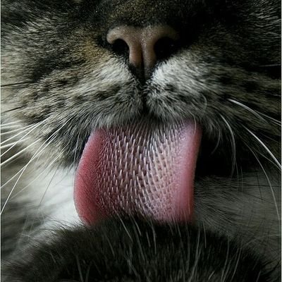 Claudine MoreauDavid 🇪🇺 🇫🇷