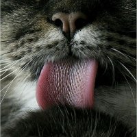 Claudine MoreauDavid 🇪🇺 🇫🇷