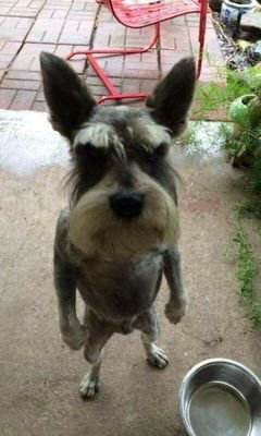 Edgar Gonzalez #QuedateEnCasa