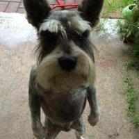 Edgar Gonzalez #QuedateEnCasa