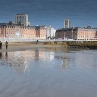 Rita Cicca41%🐱🐱🐱🐱🐱