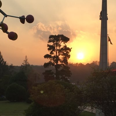 사라질것들중 하나