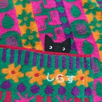 ゆかしーどにょろちん