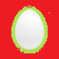 the Hawk's Dandelion