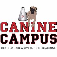 Canine Campus Dog Daycare and Boarding