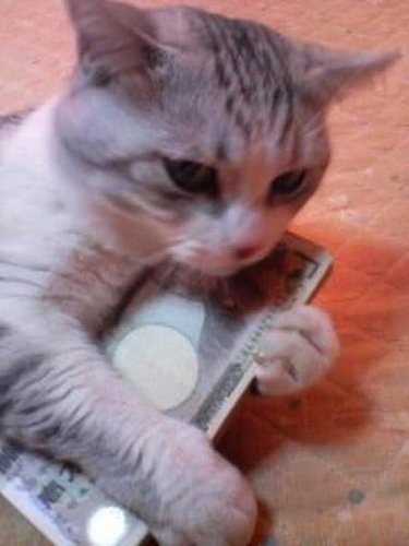 目指せ不労所得生活