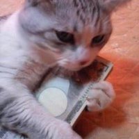 目指せ不労所得生活