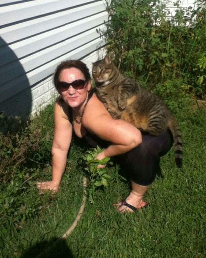 😽🐾🐼🐯🐈🌊 Melle Belle🦔🌊 🩺🩹🧘‍♂️📚💄🎶