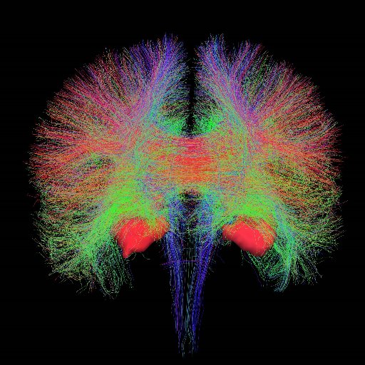 Edinburgh Imaging 💙