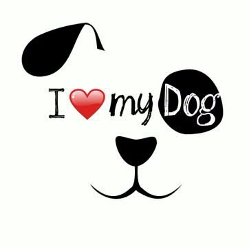 Ambra Micheletti 🖤💙