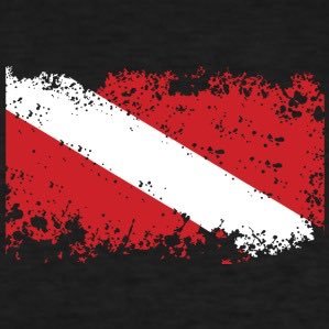 Captain Dave ⚓️🛥🤿