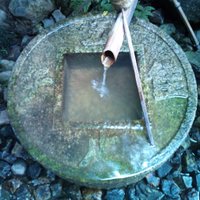 ゆうとみいのぱぱ